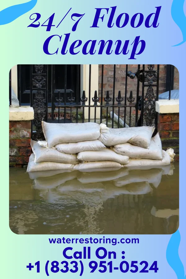 24/7 Flood Cleanup in Plato, MN