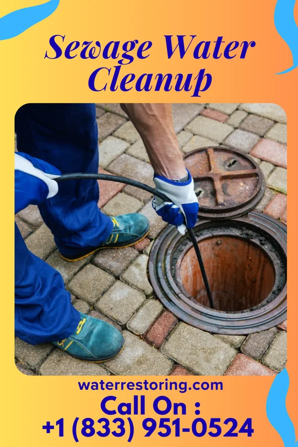 Sewage Water Cleanup in Plato, MN